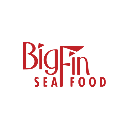 Client Logo 9